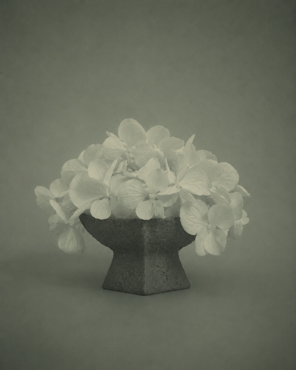 Ritual Bowl — Linie [線]