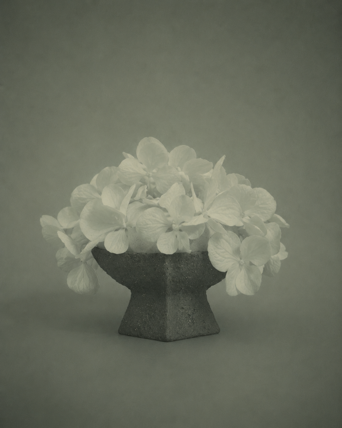 Ritual Bowl — Linie [線]